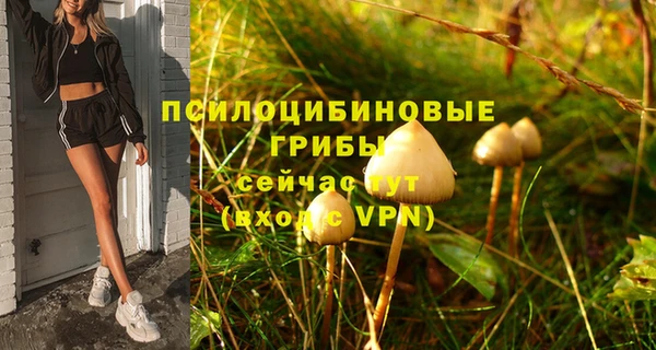 каннабис Верхний Тагил