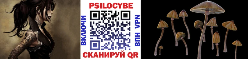Псилоцибиновые грибы мухоморы  Петровск 